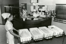 1971   – Mater Mothers' Hospital