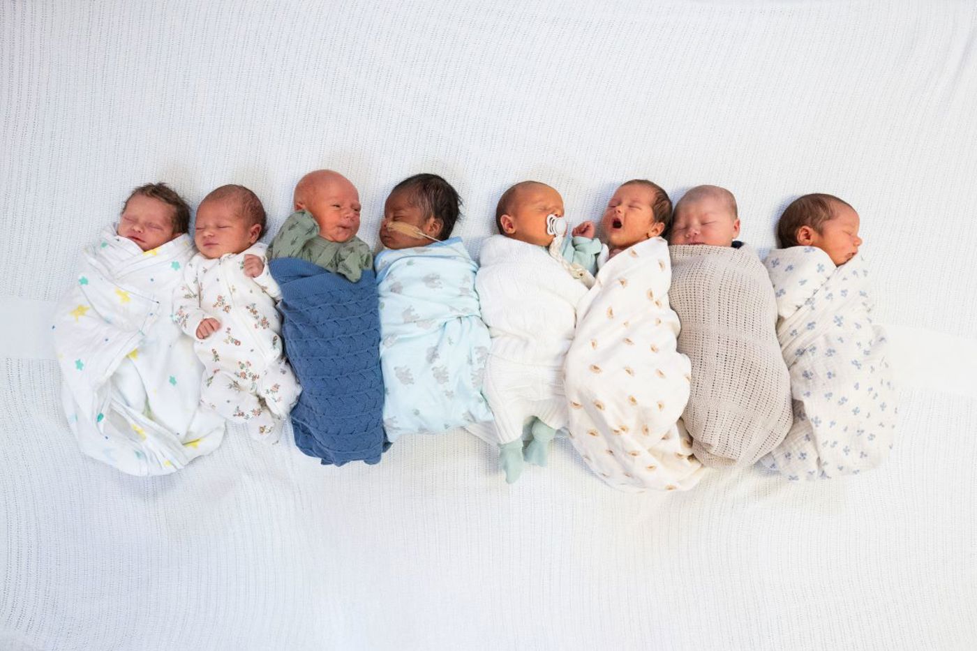 Townsville baby boom